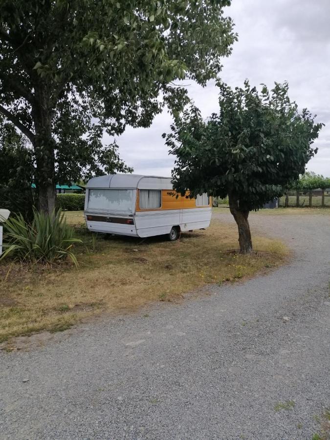 Rangiora Eco Holiday Park Fernside Екстериор снимка